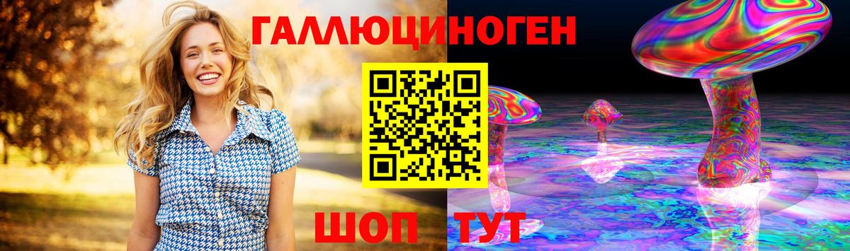 Псилоцибиновые грибы Psilocybe Грязи
