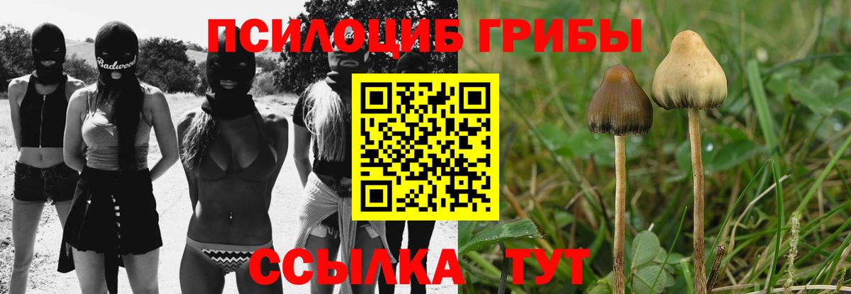 Галлюциногенные грибы прущие грибы  Вход с VPN  Грязи 